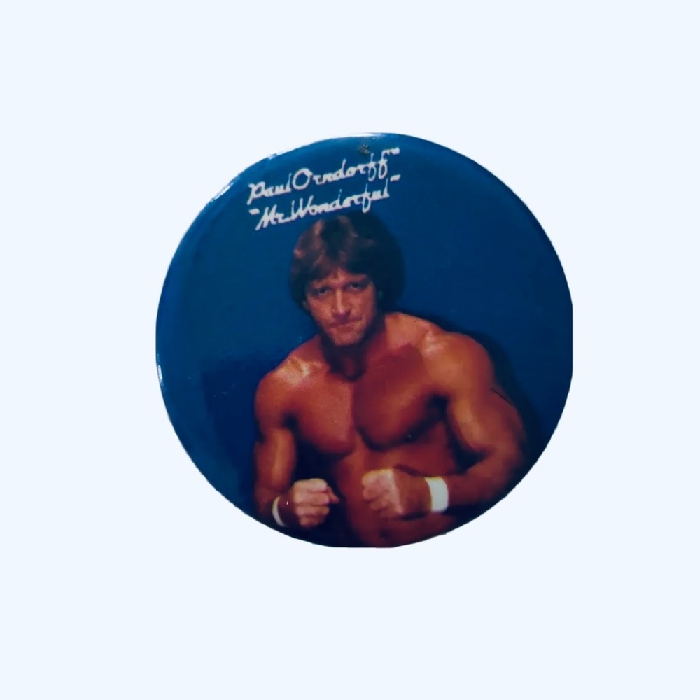 Mr Wonderful 1985 Titan Sport Pinback Button Paul Orndorff wrestling Vintage Pin